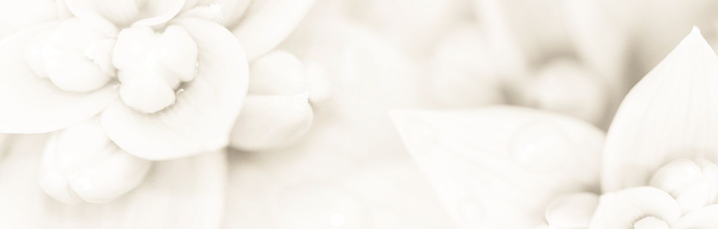 Ash Keys Aromatherapy